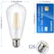 Energetic Lighting 60 Watt Equivalent, ST19 LED Filament, CRI 95, 5000K, Non-Dimmable light Bulb, E26 Base, 4PK YGA16A01-950 - alternate 7